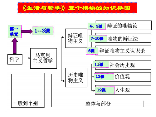 届一轮复习生活与哲学第课