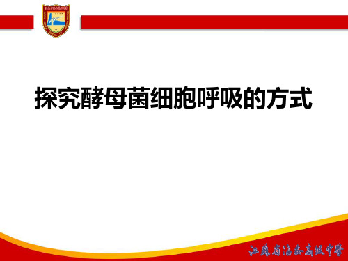 江苏省优质课细胞呼吸-探究酵母菌细胞呼吸的方式