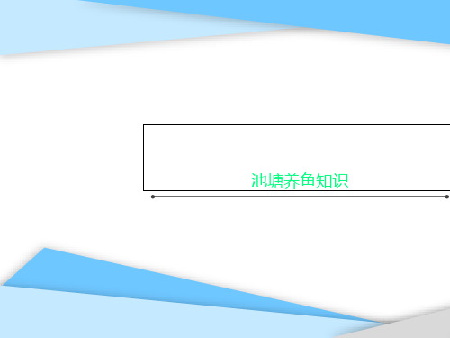 池塘养鱼知识