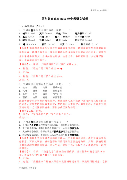 112—2019年四川省宜宾市中考语文试题(word版,含解析)