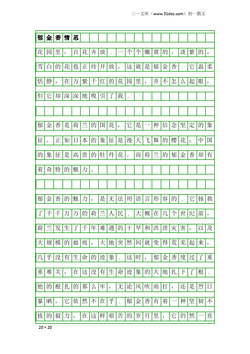 初一散文：郁金香情思