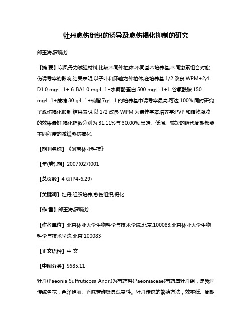 牡丹愈伤组织的诱导及愈伤褐化抑制的研究