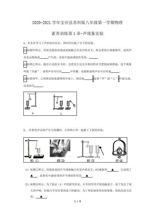 2020-2021学年江苏省扬州市宝应县苏科版八年级第一学期物理素养训练第1章-声现象实验(无答案)