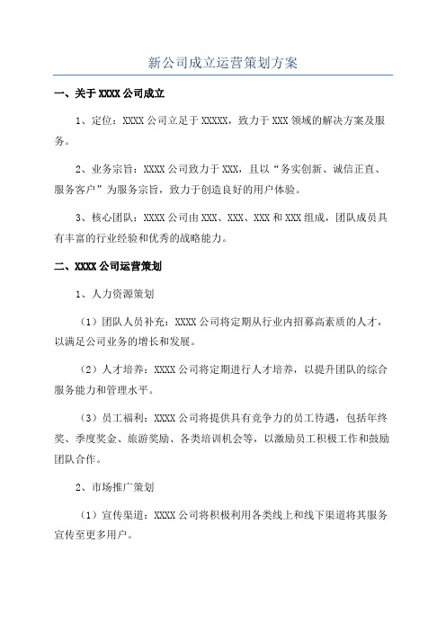 新公司成立运营策划方案