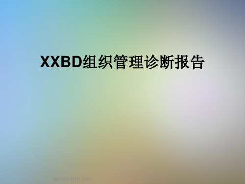 XXBD组织管理诊断报告