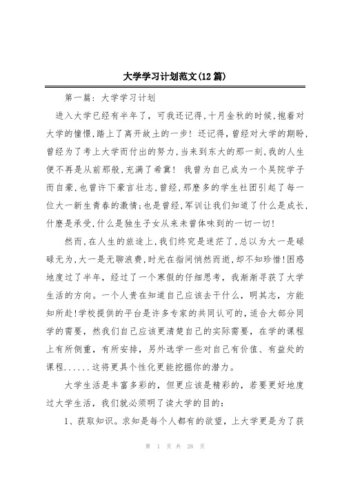 大学学习计划范文(12篇)