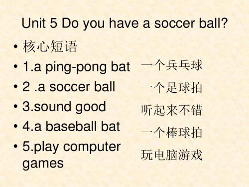 七年级上册英语Unit 5 Do you have a soccer ball