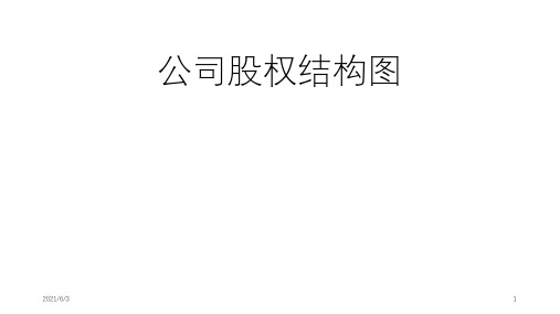 公司股权结构图