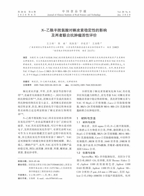 N-乙酰半胱氨酸对槲皮素稳定性的影响及两者联合抗肿瘤活性评价