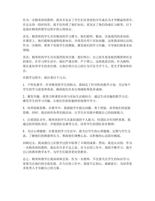 精英班教师总结心得体会