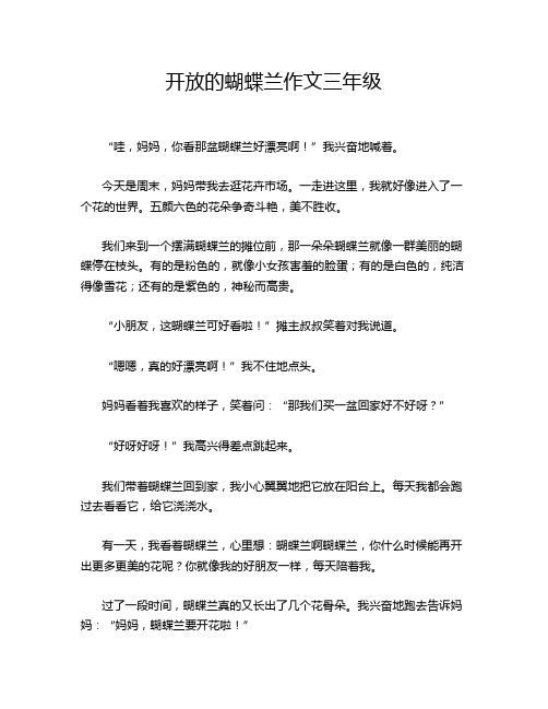 开放的蝴蝶兰作文三年级