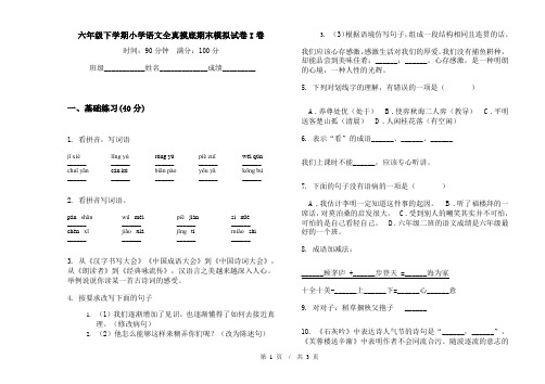 六年级下学期小学语文全真摸底期末模拟试卷I卷