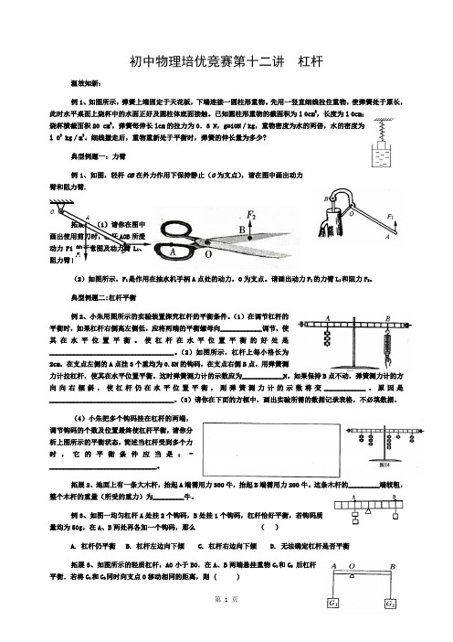 初中物理培优竞赛第十二讲--杠杆