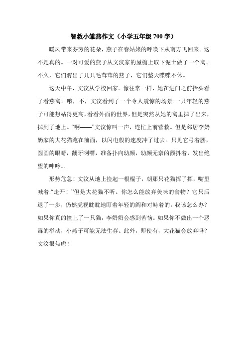 智救小雏燕作文(小学五年级700字).doc
