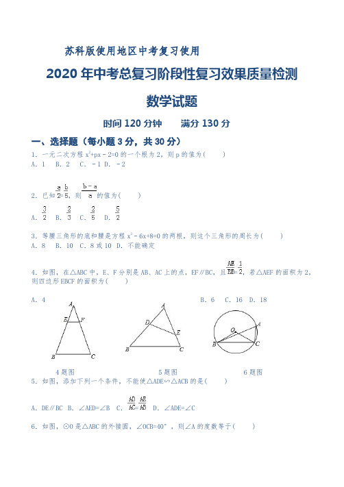 2020年中考总复习阶段性复习效果质量检测数学试题及答案(苏科版使用地区专用)