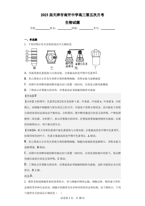 2023届天津市南开中学高三第五次月考生物试题(解析版)