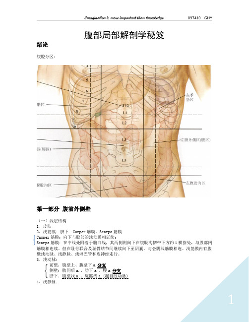 腹部局解【图文精华版】