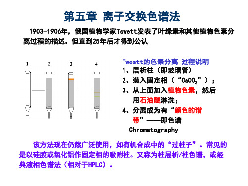 5 离子交换色谱法