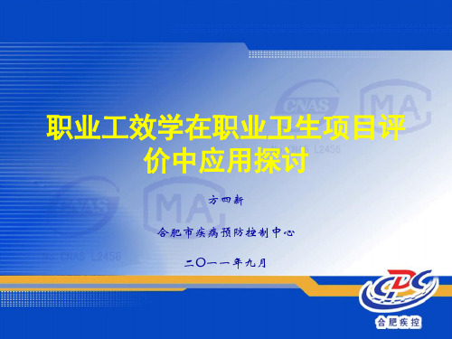 职业工效学在职业卫生项目评价中应用探讨