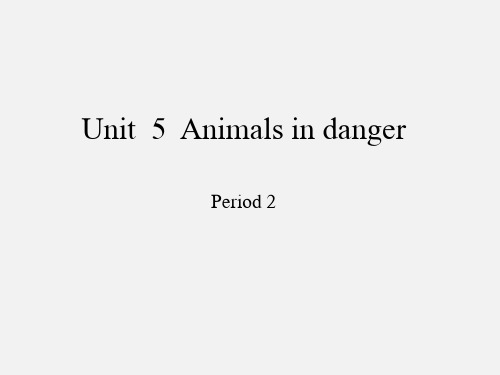 沪教版三年级起点小学六年级英语上册Unit  5  Animals in danger-Period 2_课件1