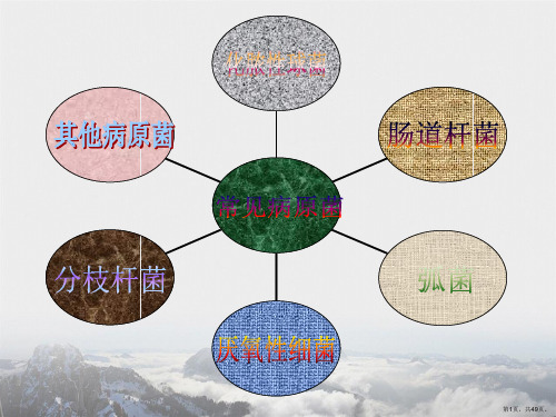 病原生物与免疫学基础第五章常见病原菌第一节化脓性球菌