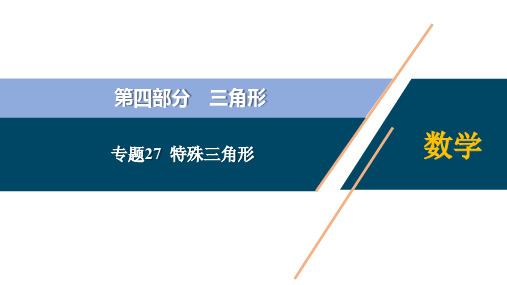 初中数学专题27  特殊三角形【考点精讲】