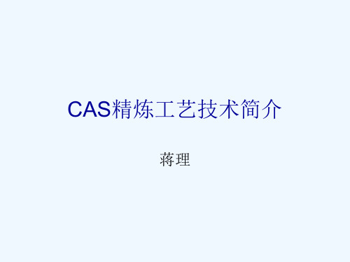 CAS工艺技术简介