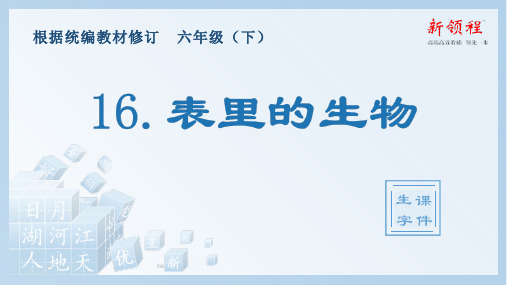 部编版六年级上册语文(生字课件)16.表里的生物