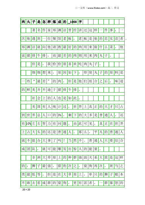 高二作文：肉丸子是怎样炼成的_1000字