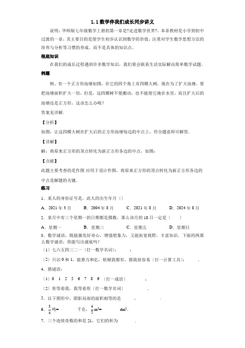 1.1 数学伴我们成长七年级数学上册同步教学辅导讲义(华师大版)