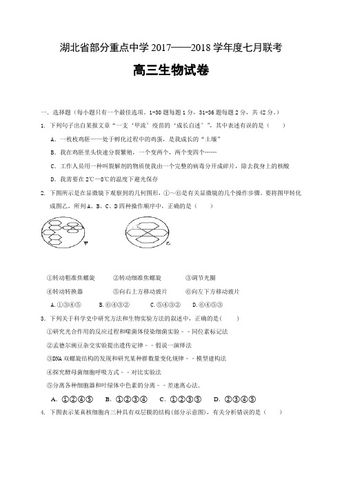 湖北省部分重点中学2018届高三7月联考生物试题