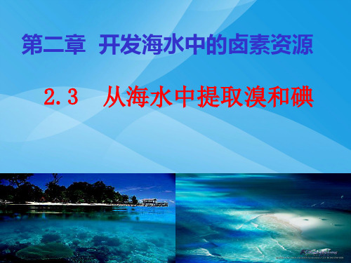 从海水中提取溴和碘PPT课件1 沪教版优质课件