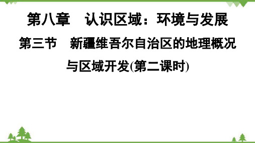 湘教版地理八年级下册 第8章 第3节 新疆维吾尔自治区的地理概况与区域开发(第2课时)习题课件