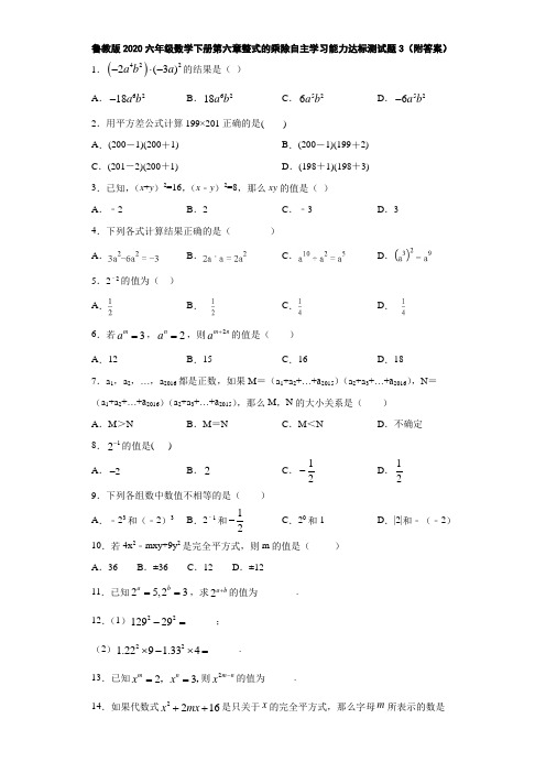 鲁教版2020六年级数学下册第六章整式的乘除自主学习能力达标测试题3(附答案)