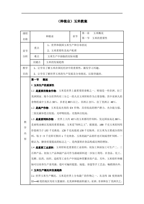 种植业玉米教案