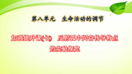 高中生物高考2022年二轮复习：加强提升课(七) 反射弧中兴奋传导特点的实验探究(共34张PPT)