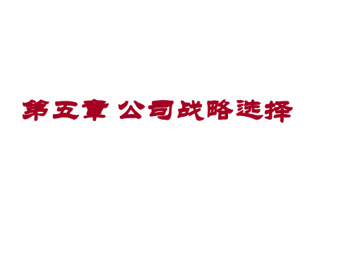 战略管理 5公司战略选择