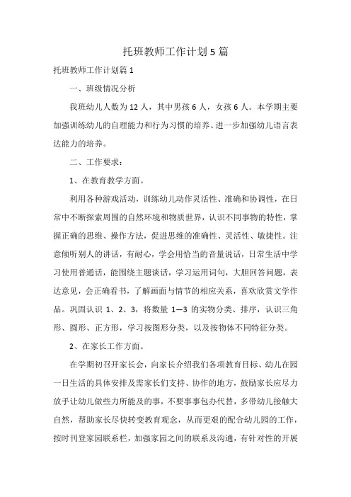 托班教师工作计划5篇