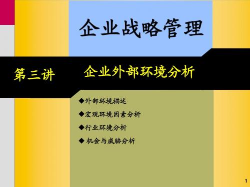 第三讲 企业战略环境分析