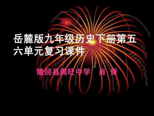 岳麓版九年级历史下册五六单元复习课件