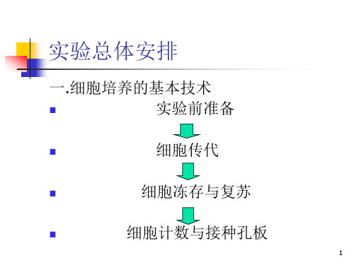 细胞传代PPT演示课件