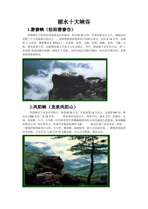丽水十大峡谷(DOC)
