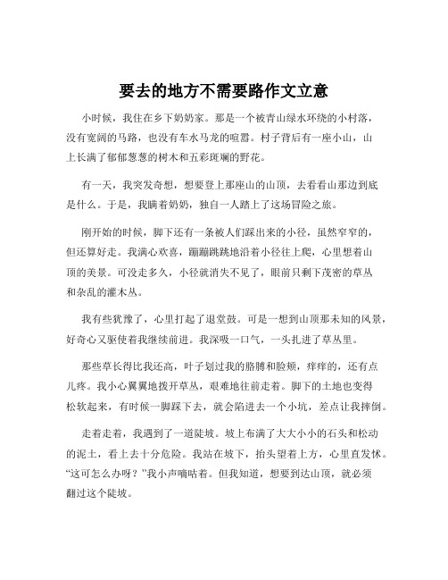 要去的地方不需要路作文立意