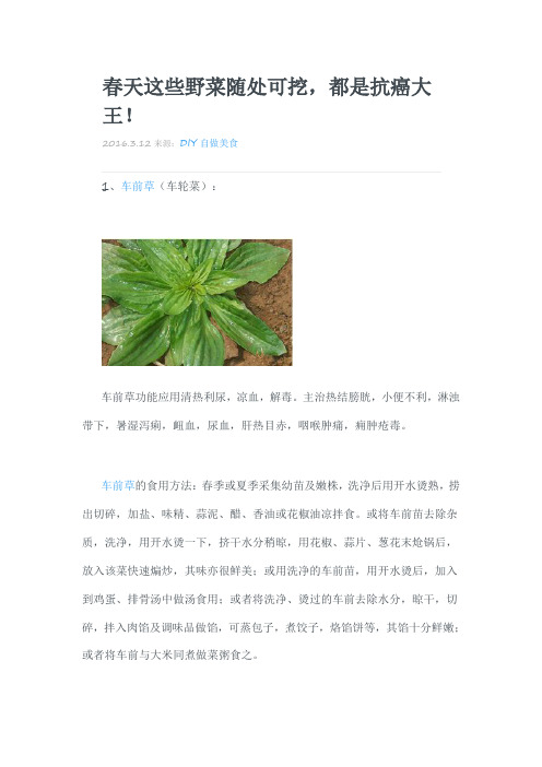 春天哪些野菜可吃又抗癌剖析