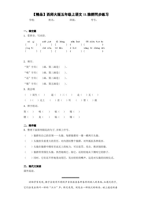 小学五年级上语文11.狼群同步练习(含答案解析)