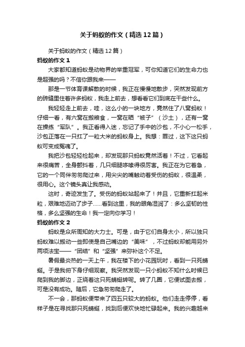 关于蚂蚁的作文（精选12篇）