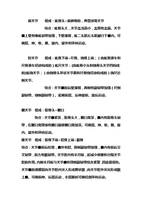 系统解剖 四大关节