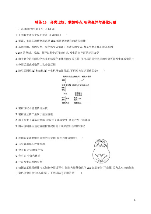 (北京专用)2019版高考生物一轮复习 精练13 分类比较、掌握特点明辨变异与进化问题