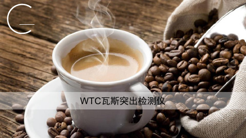 WTC瓦斯突出检测仪工作原理