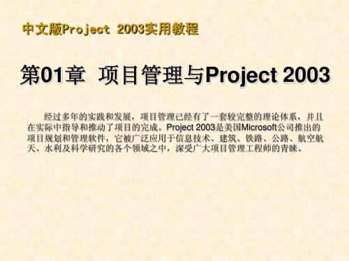 中文版Project 2003实用教程
